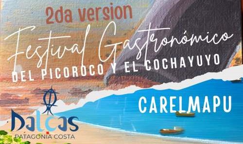 afiche festival de picoroco 20251