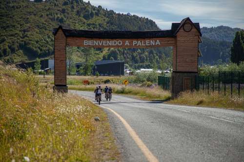 Palena